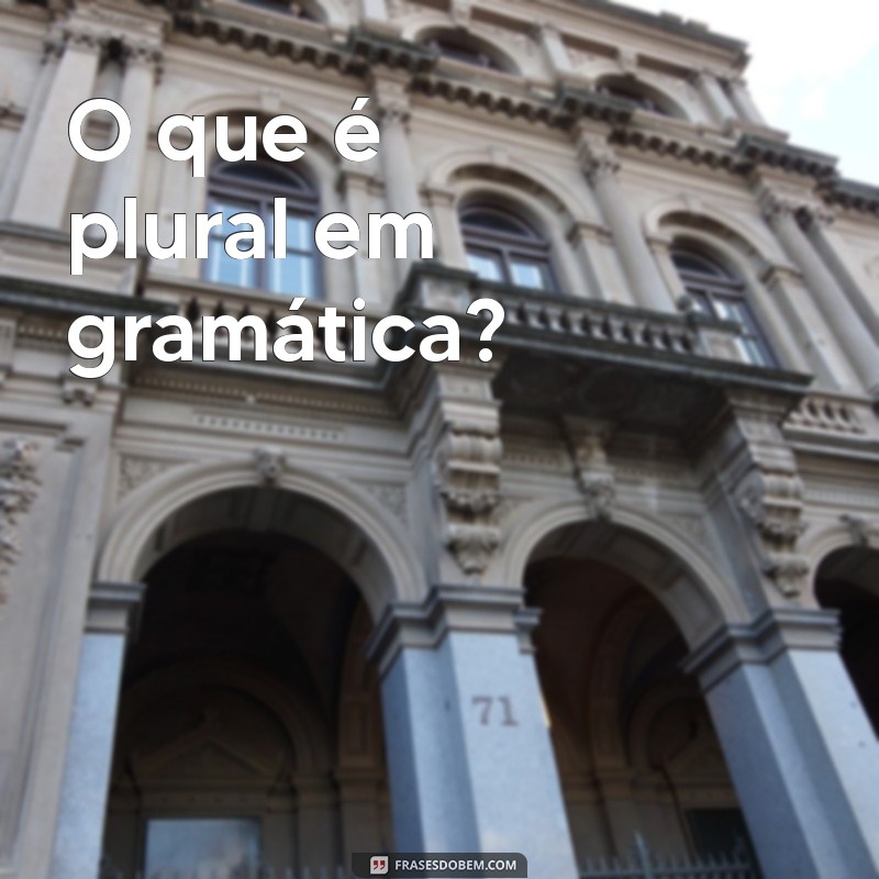 oque e plural O que é plural em gramática?