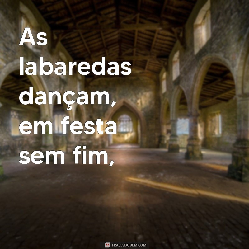 Descubra a Letra de Cordel Ai Se Sêsse do Fogo Encantado: Uma Viagem pela Cultura Popular 