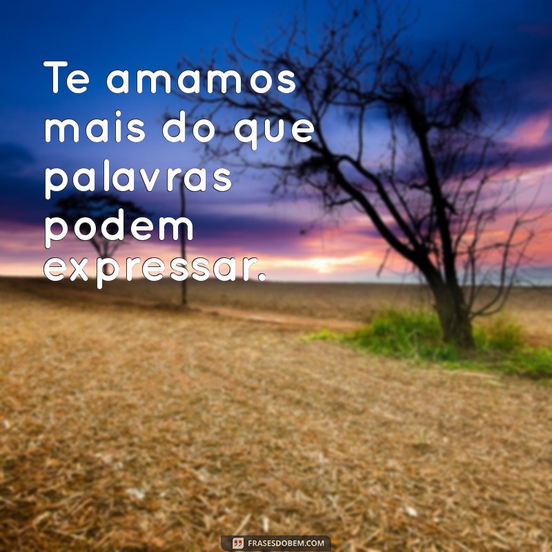 te amamos Te amamos mais do que palavras podem expressar.