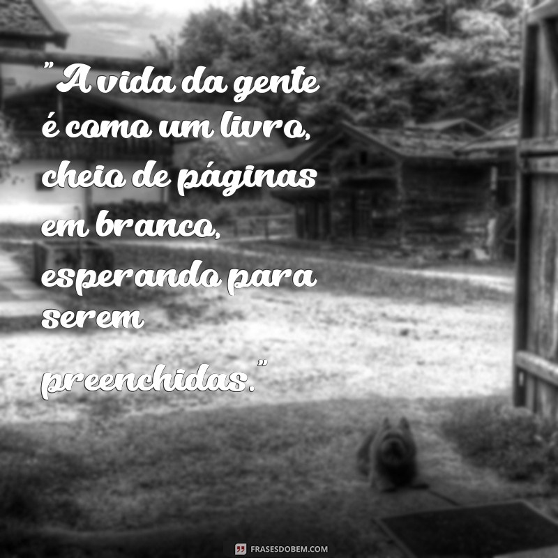 frases carolina maria de jesus 