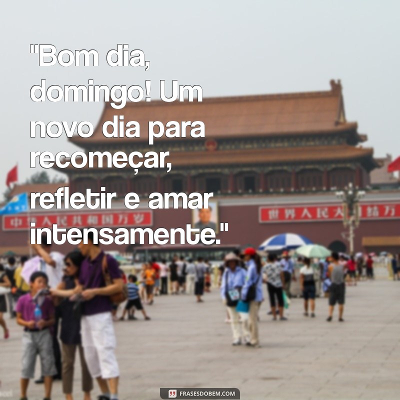 bom dia domingo frases de reflexão 