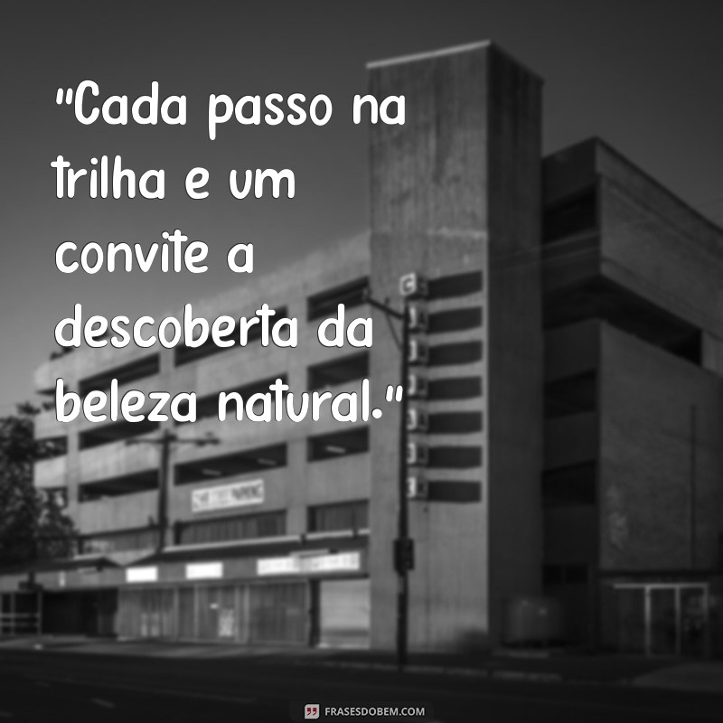 frases sobre trilhas natureza 