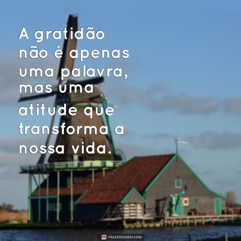 Frases Evangélicas de Gratidão: Inspirações para Agradecer a Deus 