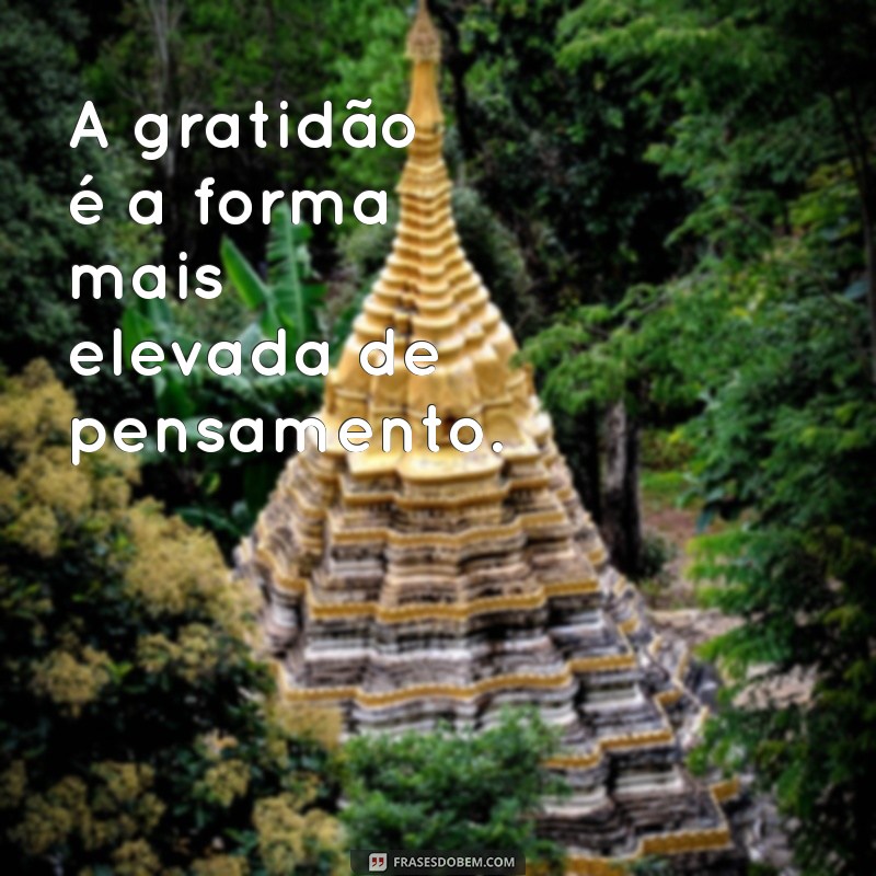 Frases Inspiradoras de Agradecimento para Transformar Seu Dia 