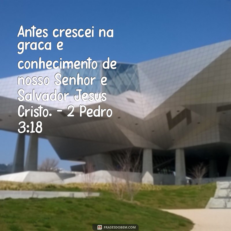 Frases Inspiradoras da Bíblia para Refletir a Cada Dia 