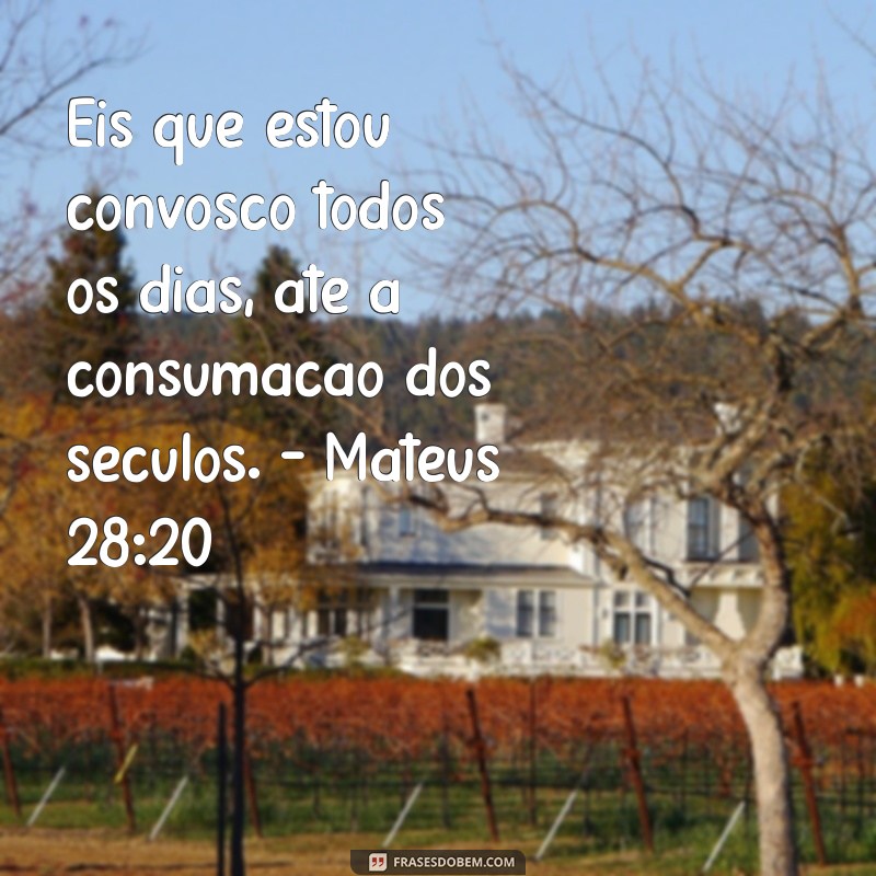 Frases Inspiradoras da Bíblia para Refletir a Cada Dia 