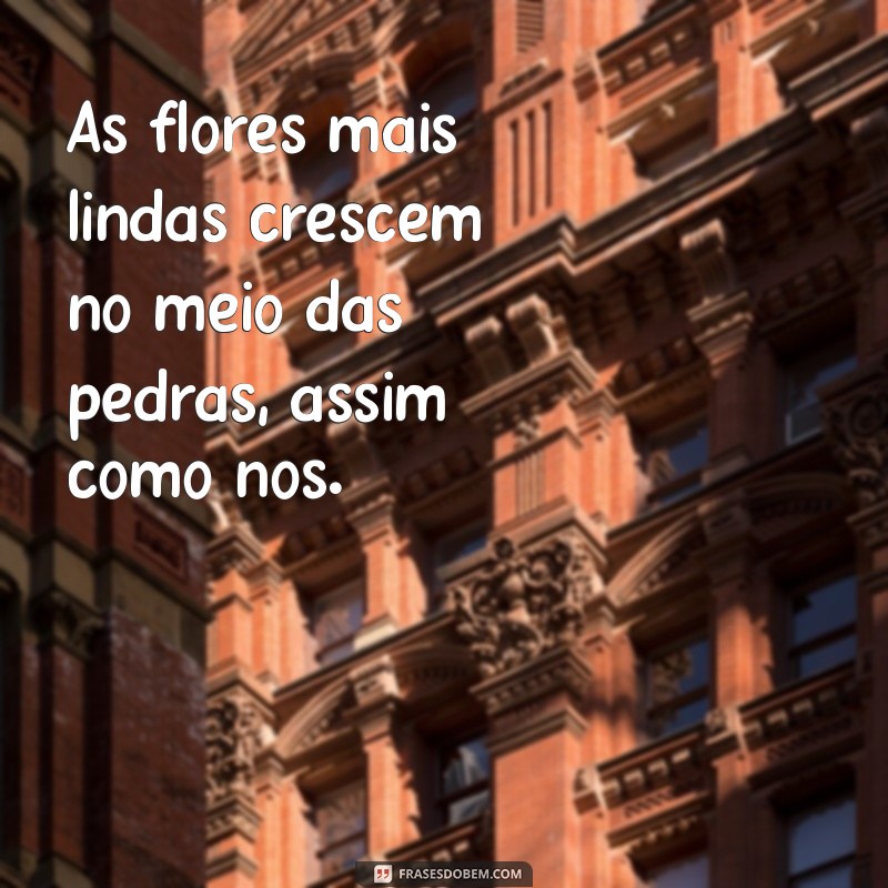 Frases Inspiradoras para Dias Melhores: Renove Sua Esperança e Motivação 