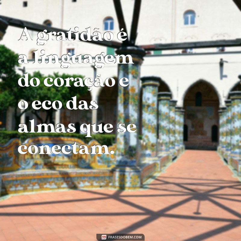 Frases Inspiradoras de Osho sobre Gratidão: Transforme sua Vida 