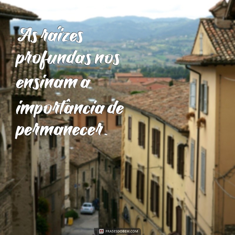 Frases Inspiradoras sobre Permanecer: Reflexões para Fortalecer sua Resiliência 