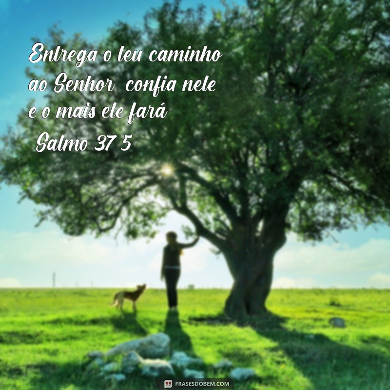 Descubra as Mensagens Inspiradoras dos Salmos: Sabedoria e Conforto na Bíblia 