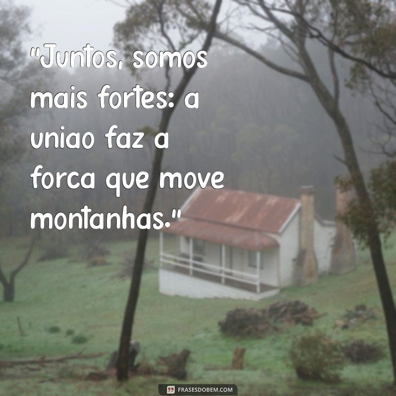 frases sobre uniao em equipe 