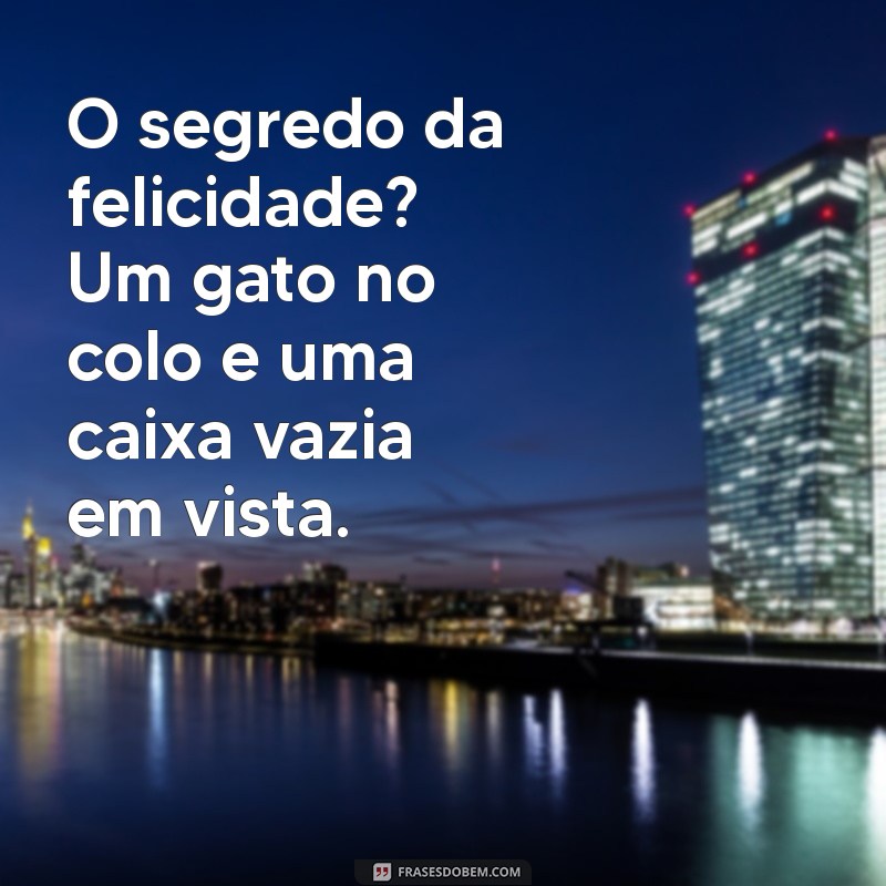 As Melhores Frases de Gato Engraçadas que Vão Fazer Você Rir 