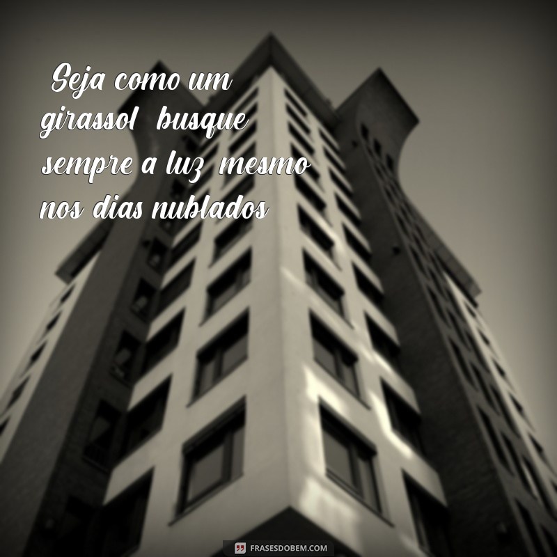 mensagens sobre girassol 