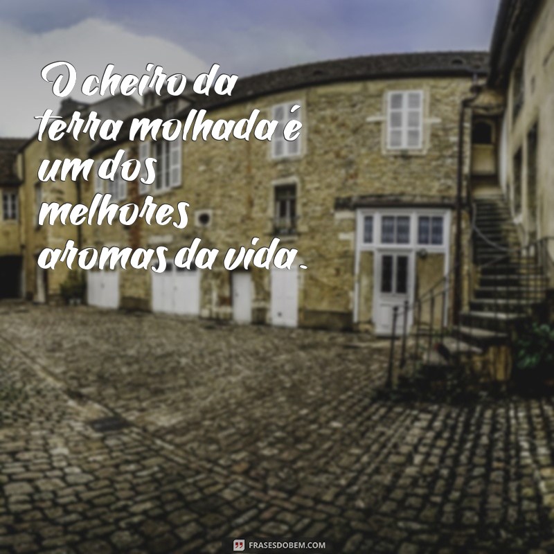 Descubra as melhores frases para expressar a beleza dos dias chuvosos 