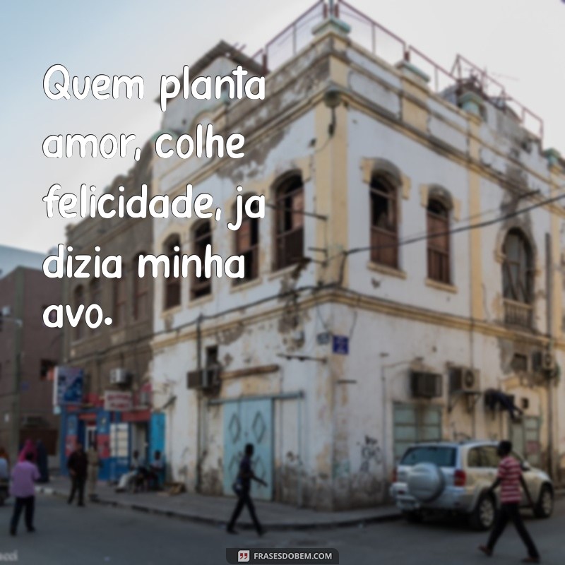 Sabedoria Popular: As Melhores Frases que Minha Avó Sempre Dizia 