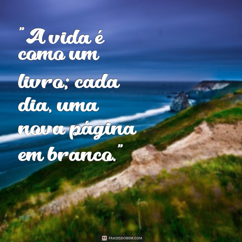 brandon frases 