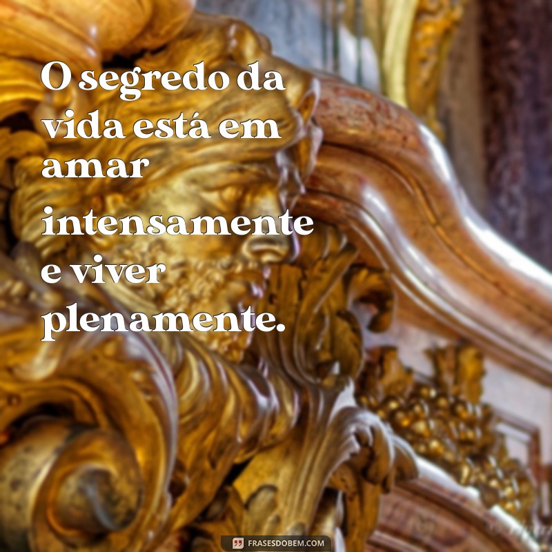 frases o segredo da vida O segredo da vida está em amar intensamente e viver plenamente.