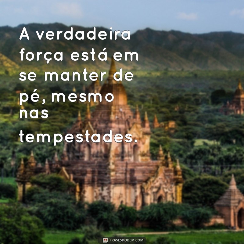 Frases Inspiradoras sobre Girassóis: Luz e Alegria em Palavras 