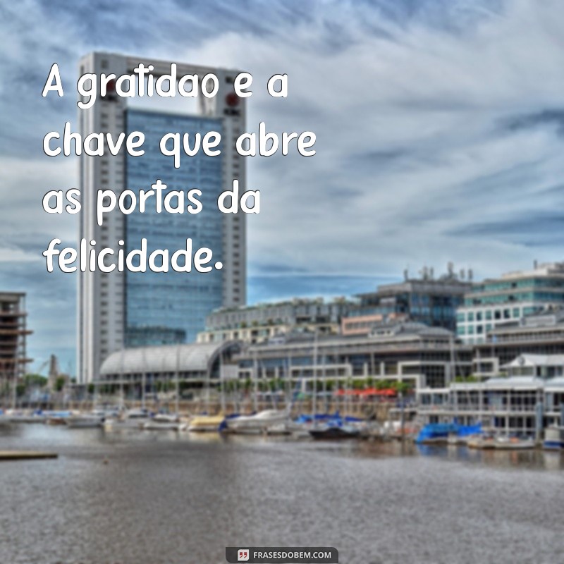 Frases Inspiradoras de Ana Maria Braga: Reflexões e Mensagens do Dia 