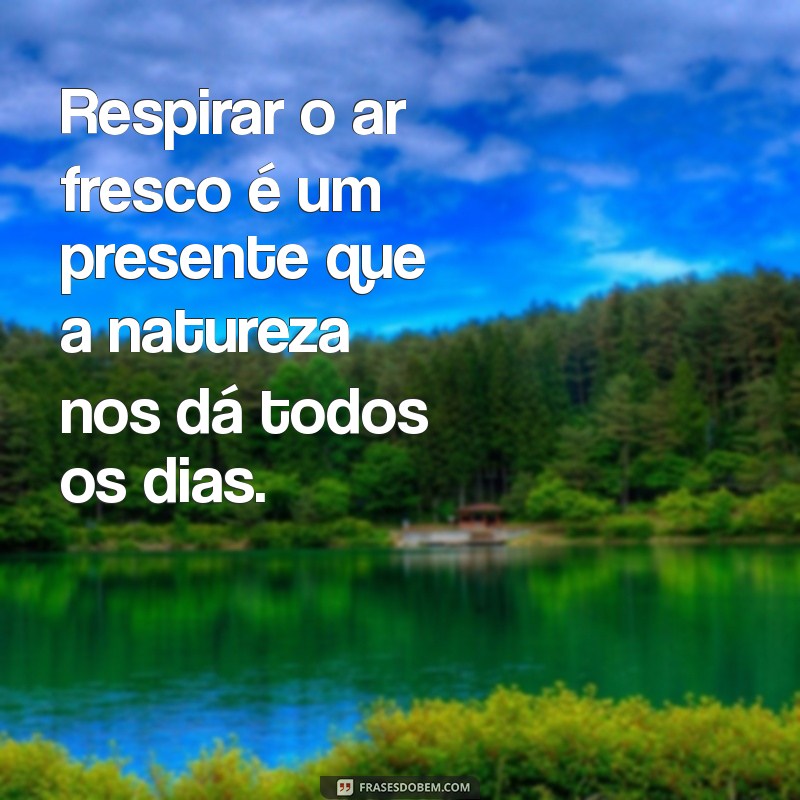 Frases Inspiradoras sobre a Natureza para Acompanhar suas Fotos 