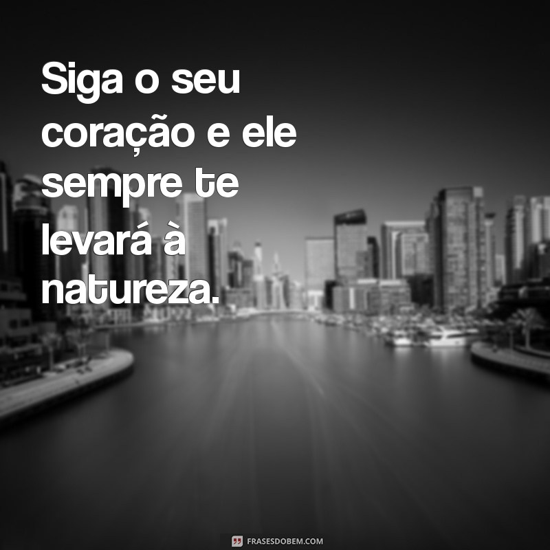 Frases Inspiradoras sobre a Natureza para Acompanhar suas Fotos 