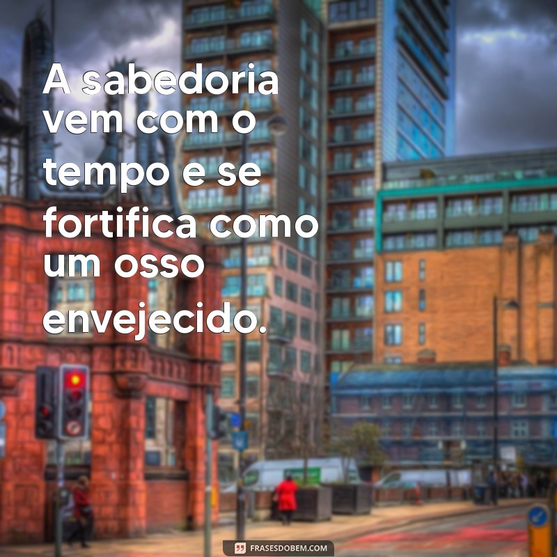 30 Frases Impactantes com a Palavra Osso para Inspirar e Refletir 