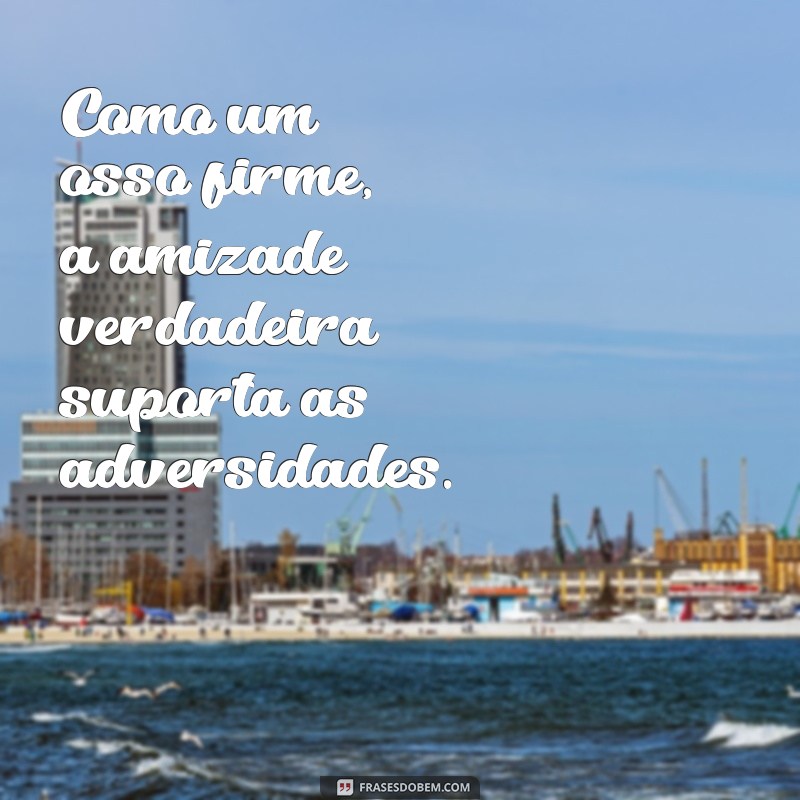 30 Frases Impactantes com a Palavra Osso para Inspirar e Refletir 