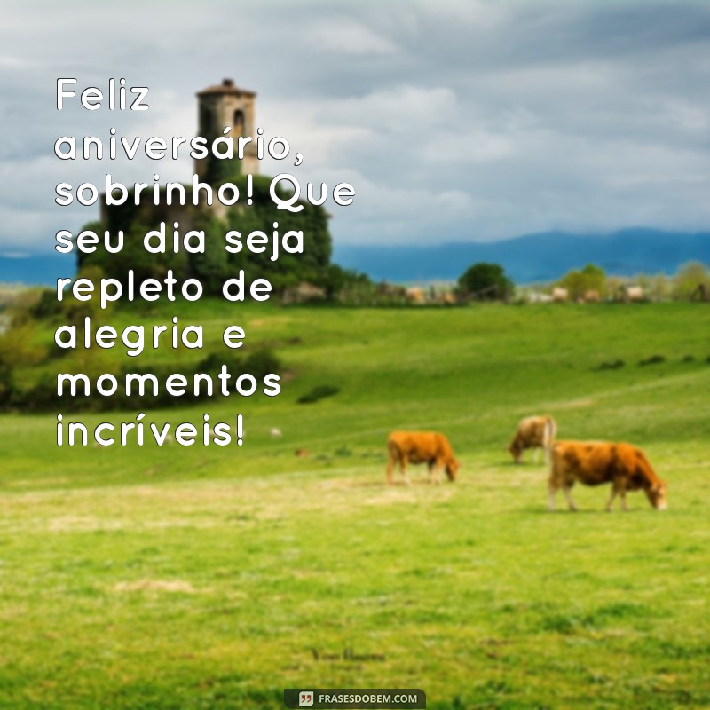 mensagens de aniversário sobrinho Feliz aniversário, sobrinho! Que seu dia seja repleto de alegria e momentos incríveis!