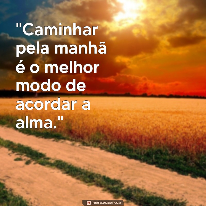 frases caminhada matinal 