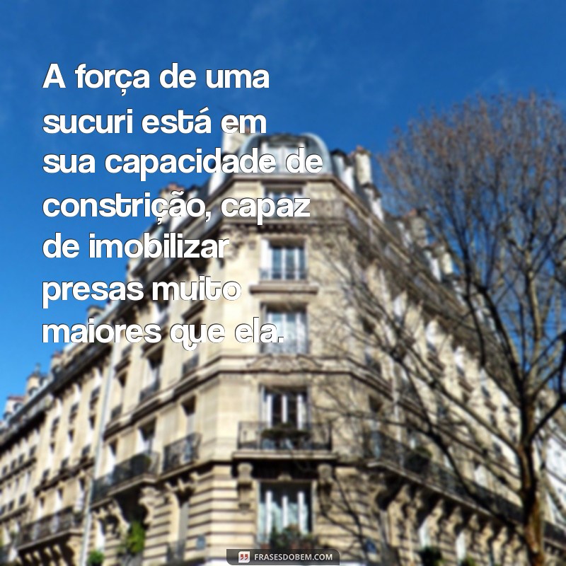 qual a força de uma sucuri A força de uma sucuri está em sua capacidade de constrição, capaz de imobilizar presas muito maiores que ela.