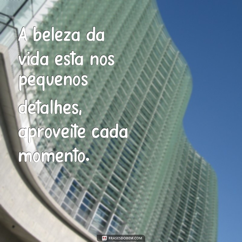 Descubra as melhores frases de boa vibe para trazer positividade ao seu dia! 