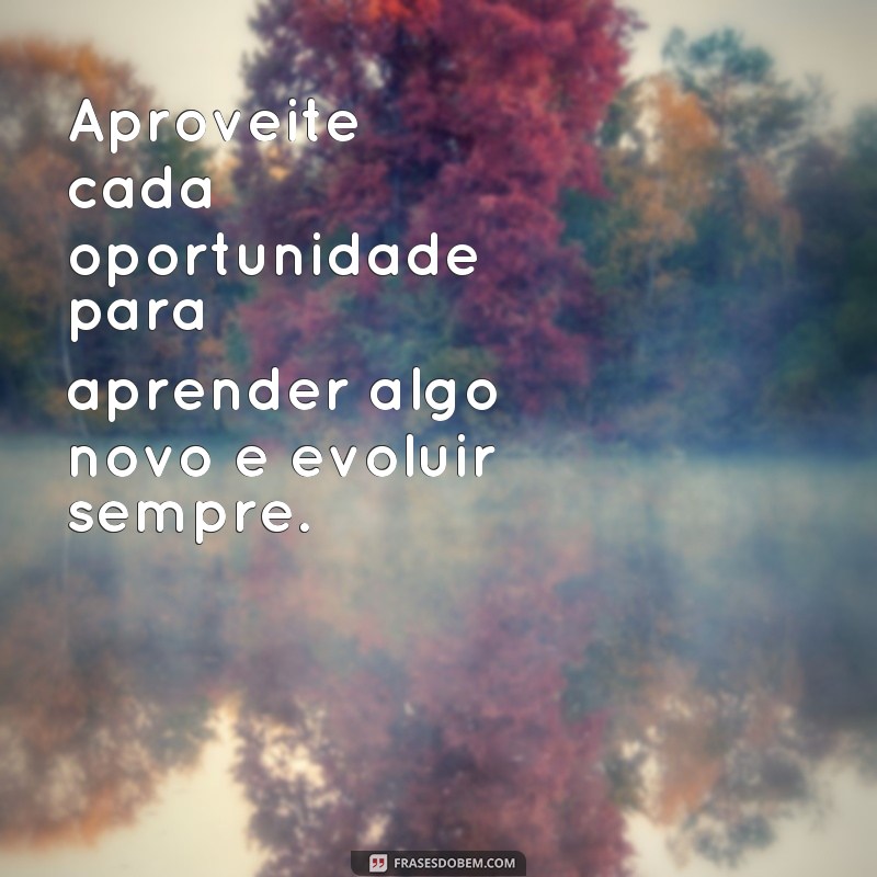 Descubra as melhores frases de boa vibe para trazer positividade ao seu dia! 