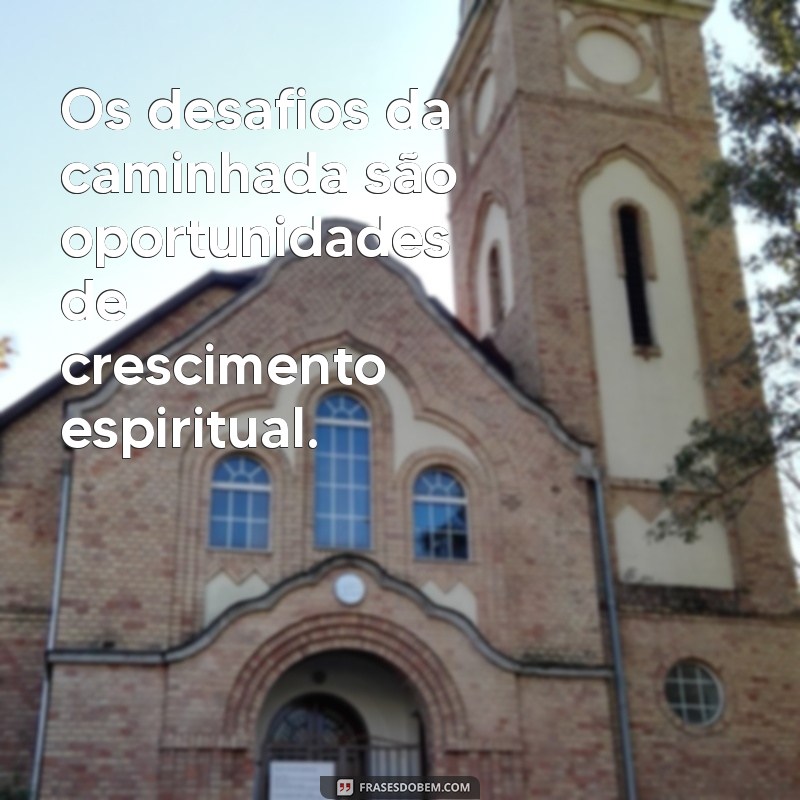 Frases Inspiradoras para Peregrinos Católicos: Reflexões e Mensagens de Fé 