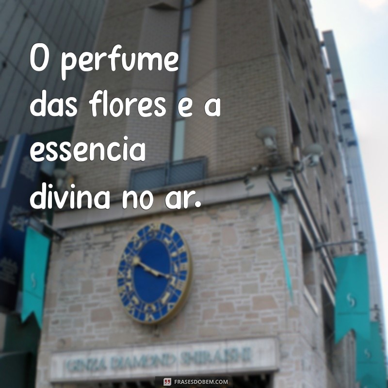 Descubra as Mais Lindas Fotos de Deus: Inspiração e Beleza Espiritual 