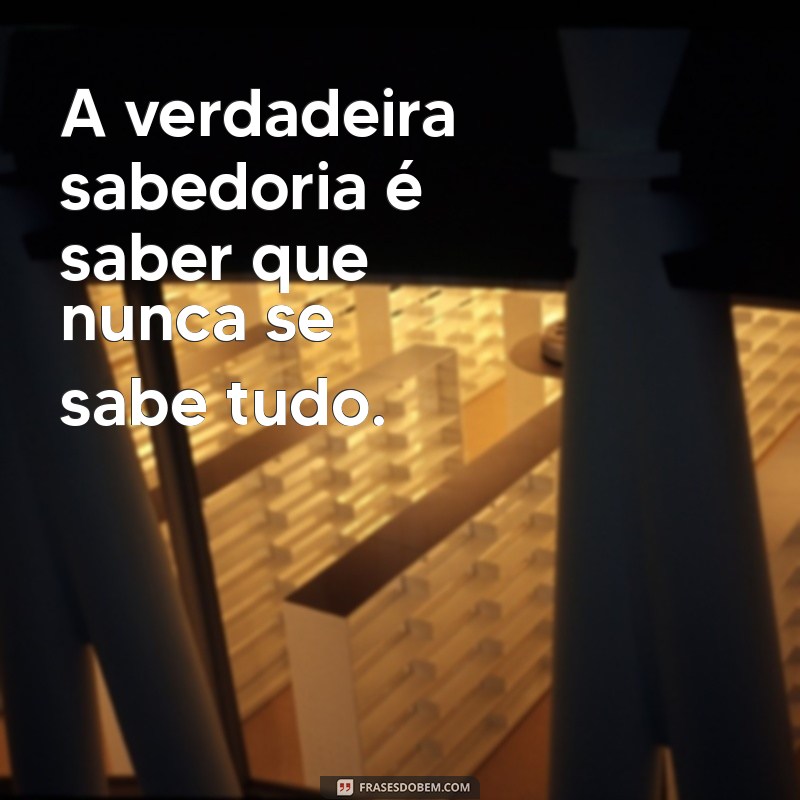 Descubra Inspirações: 20 Frases Poderosas sobre Sabedoria 