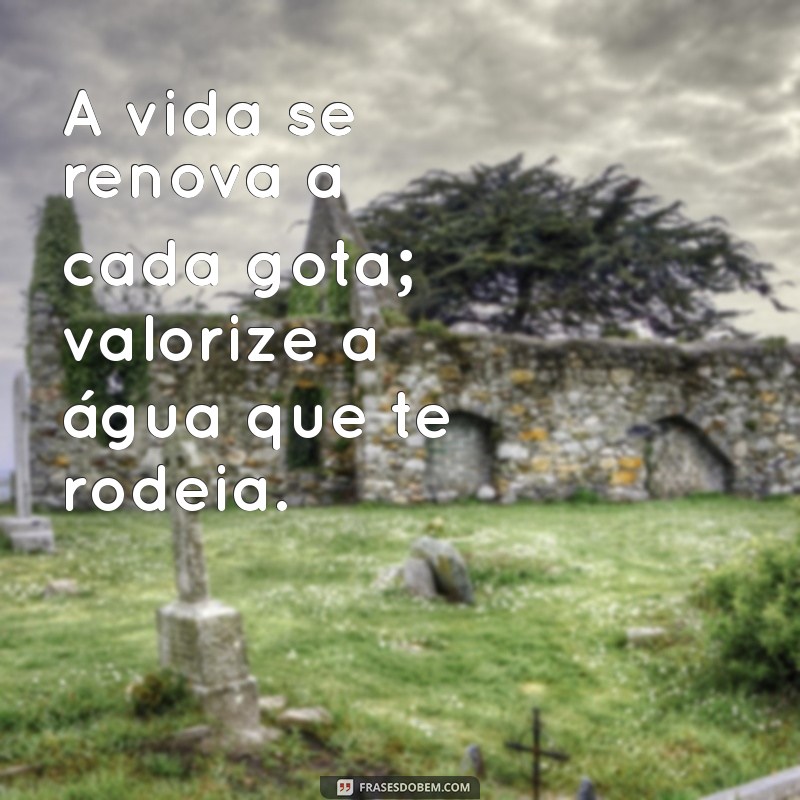 Frases Inspiradoras sobre a Importância da Água para a Vida e Sustentabilidade 