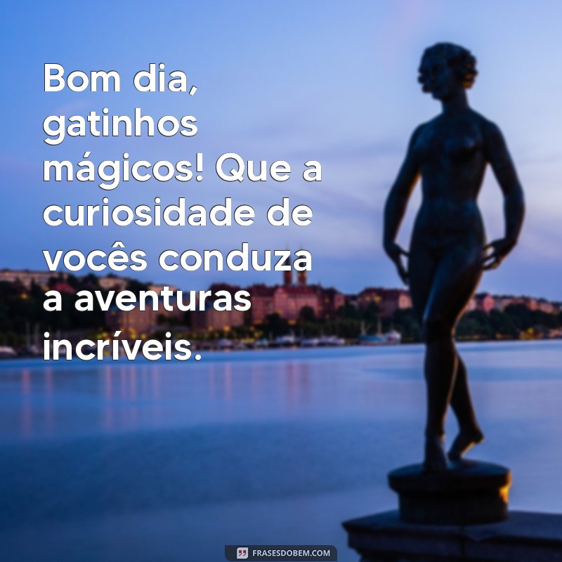 Frases Inspiradoras de Bom Dia para Amantes de Gatos 