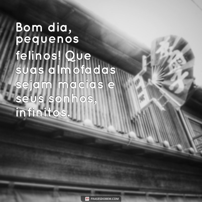 Frases Inspiradoras de Bom Dia para Amantes de Gatos 