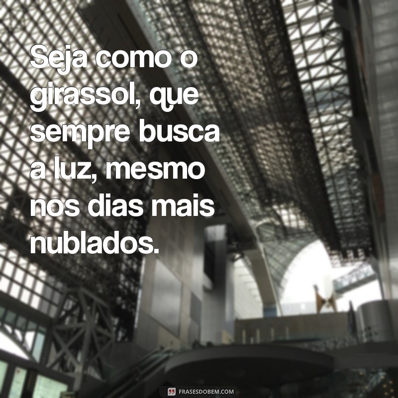 seja como o girassol Seja como o girassol, que sempre busca a luz, mesmo nos dias mais nublados.