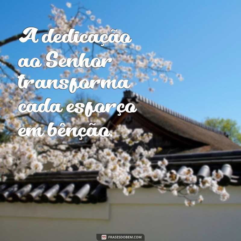 nosso trabalho no senhor não é em vão A dedicação ao Senhor transforma cada esforço em bênção.