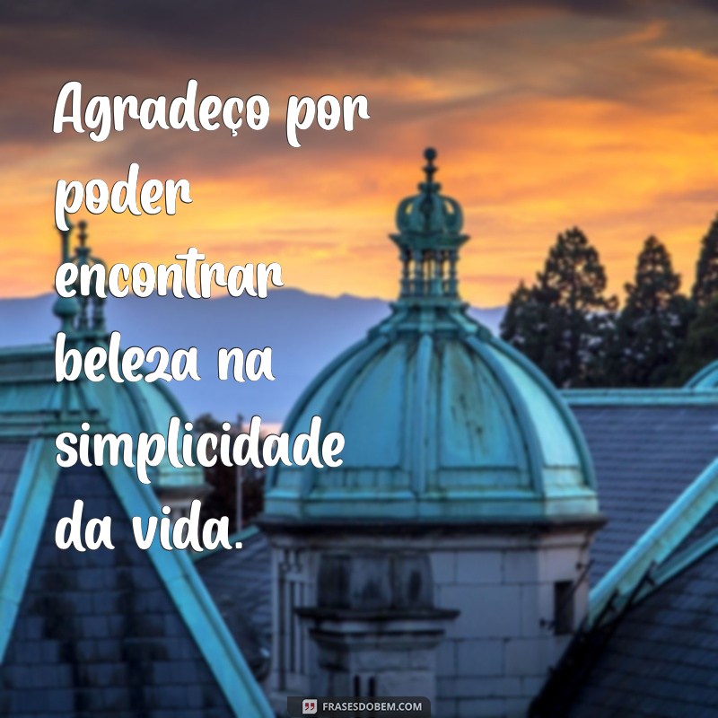 Frases Inspiradoras de Gratidão para Valorizar o Dia de Hoje 