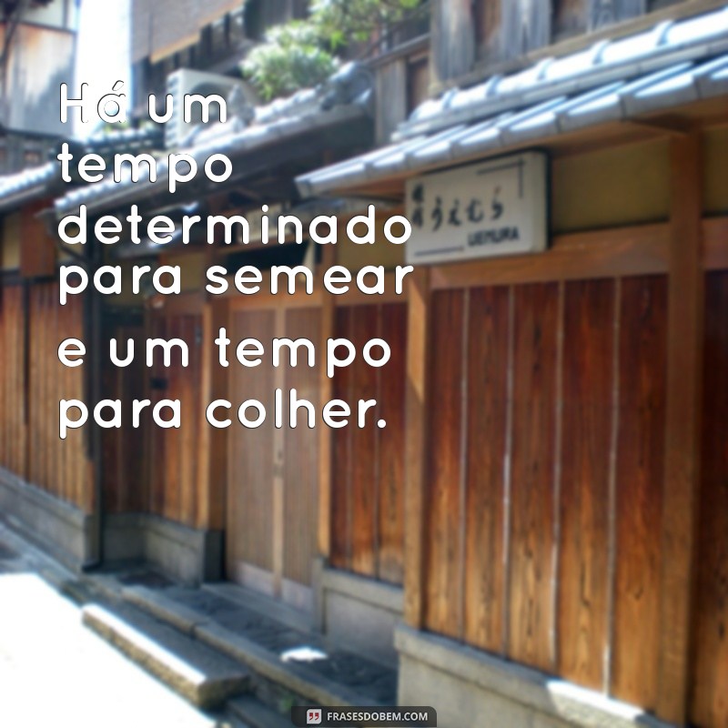 há um tempo determinado para todas as coisas debaixo do céu Há um tempo determinado para semear e um tempo para colher.