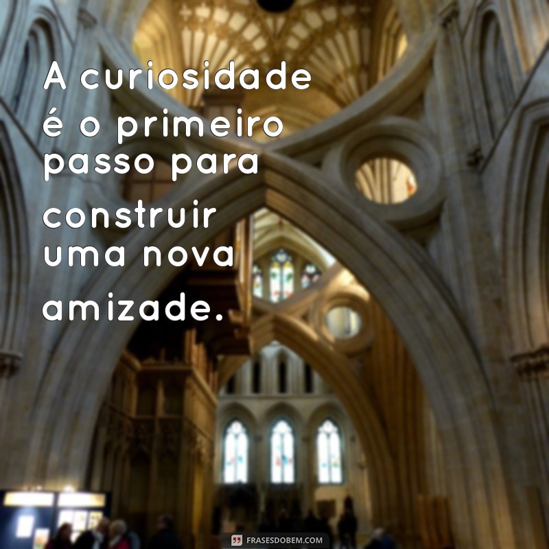 Frases Inspiradoras para Celebrar Novas Amizades 