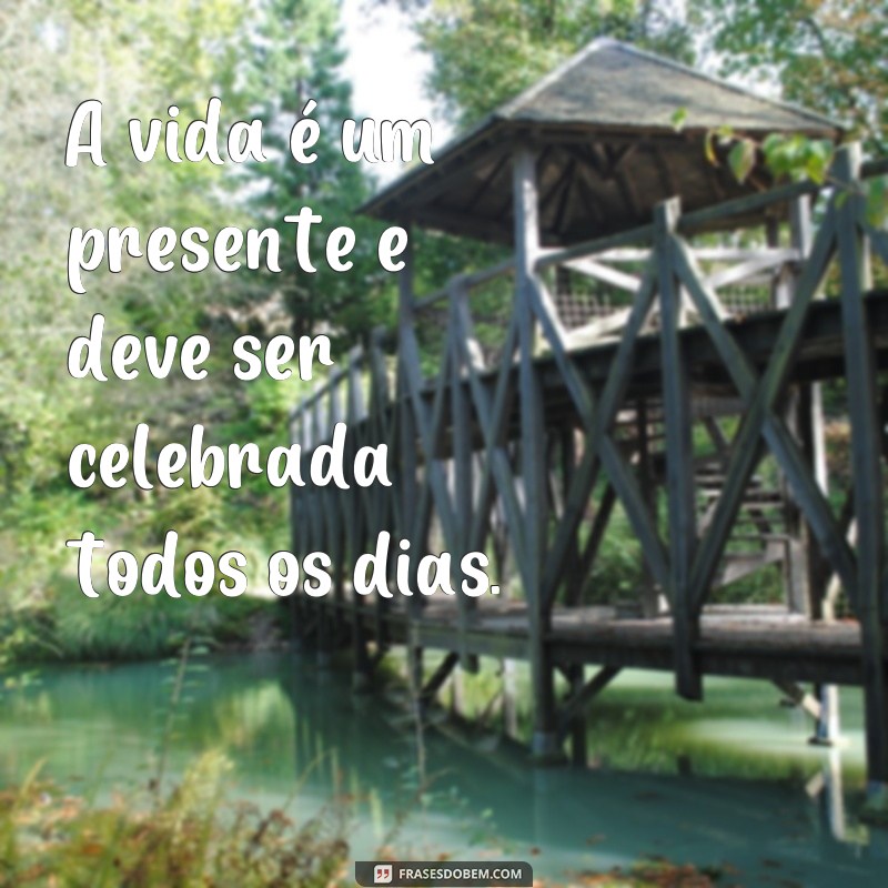 frases de celebrar a vida A vida é um presente e deve ser celebrada todos os dias.