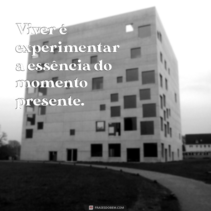 significado da palavra viver Viver é experimentar a essência do momento presente.