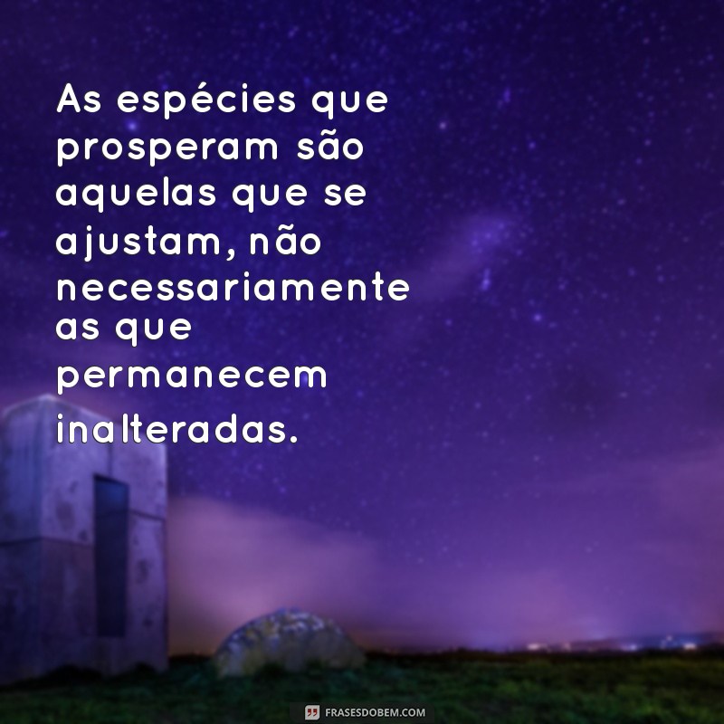 Frases Inspiradoras de Darwin sobre Adaptação e Evolução 