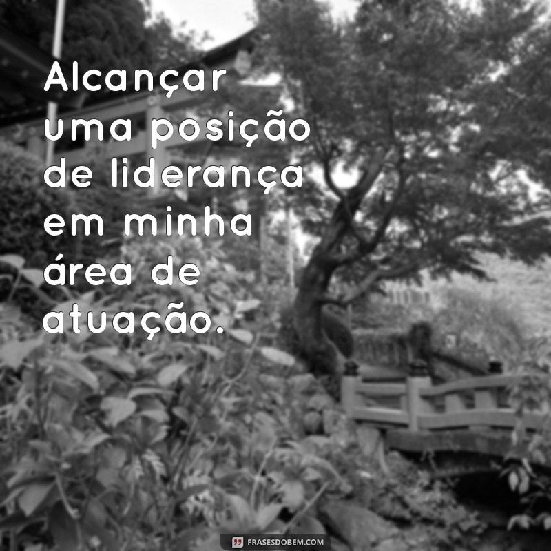 quais seus objetivos profissionais Alcançar uma posição de liderança em minha área de atuação.