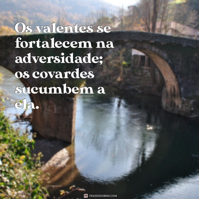 Os Covardes Não Herdarão o Reino dos Céus: Entenda o Significado e a Mensagem por Trás dessa Frase 