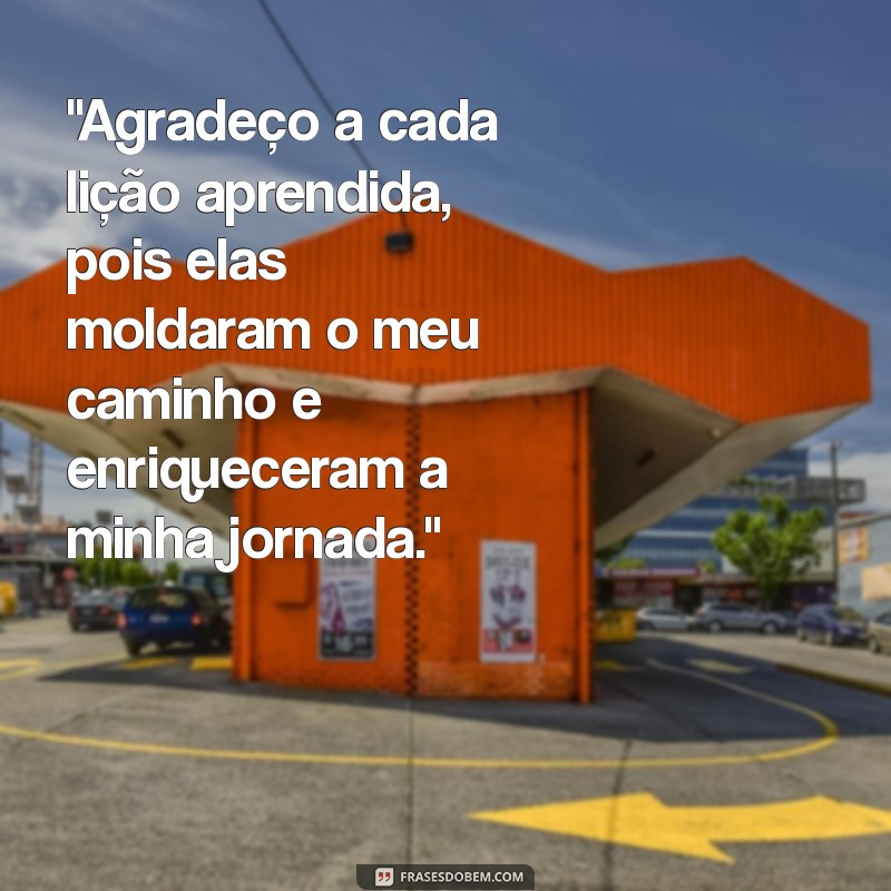 mensagem de agradecimento pelo aprendizado 