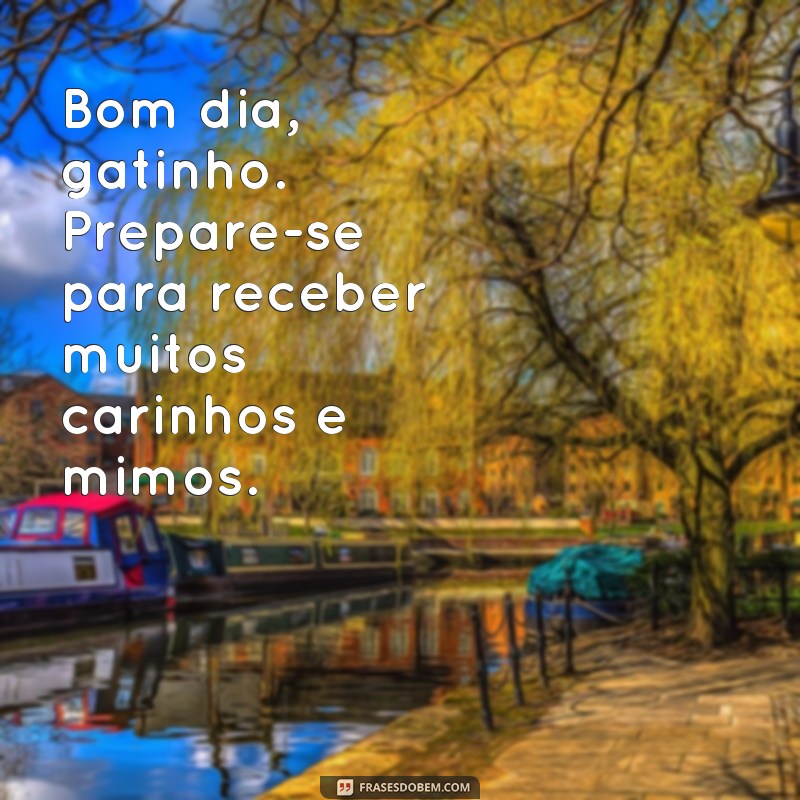 Encante-se com as melhores frases de bom dia para o seu gato 